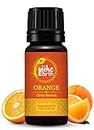 The Indie Earth 100% Pure & Undiluted Orange Essential Oil For Aromatherapy & Topical Use, Contains NO GMO, NO Parabens, No Artificial Fragrance - Cruelty Free - Sourced Directly from BRAZIL 10 ml