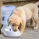 Agudo Plastic Automatic Dog Water Dispenser Feeding Bowl Bottle for Dogs cat pet at Home Garden,pet Waterer self Dispensing Water for Dogs Gravity pet Feeder(1pcs/Big)