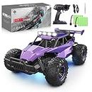 LARVEY 2WD 1:16 Scale Purple Remote Control Car, 20 Km/h High Speed Girls Remote Control Car Monster Vehicle with LED Headlights and Chassis Lights, RC Truck for Girls Boys and Adults