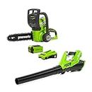 Greenworks 40V Cordless Chainsaw 30cm (12") with 2Ah battery and charger - 20117UA & Greenworks 40V Cordless Axial Blower - Battery and charger not included - 2400807