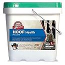 Formula 707 Hoof Health Equine Supplement, 10lb Bucket - 160 Servings – Biotin, Amino Acids, and Minerals to Improve and Support Healthy Horse Hooves
