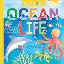 Hello, World! Ocean Life