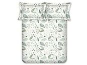 Bombay Dyeing Sage King Size Bedsheet 180 TC Cotton Premium Bedsheet with 2 Pillow Covers | 2.74 M X 2.74 M | (Green)