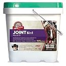 Formula 707 Joint 6in1 Equine Supplement 10LB Bucket– Support for Joint Integrity and Inflammatory Response in Horses – Green-Lipped Mussel, MSM, Glucosamine, Chondroitin & Collagen