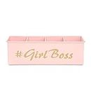 anantam homes 4 Compartment Girl Boss Desk Organizer Pen Pencil Caddy Storage Box For Office, School, Home, Table Organizer & Art Supplies Accessories With Four Slots, Metal (Light Pink)