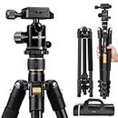Lightweight Aluminum Camera Tripod, K&F Concept 62-Inch Compact Travel DSLR Tripod Portable Tripod with Ball Head and Carry Bag for Digital SLR Cameras/Video Cameras/Camcorders