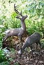 Large Stag & Doe Deer Bronze Garden Statues
