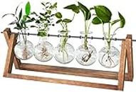 CFMOUR Plant Terrarium with Wooden Stand, Desktop Propagation Stations Glass Air Planter Metal Swivel Holder for Indoor Live Hydroponics Plants Office Home Garden Decor (5 Bulb Vase)