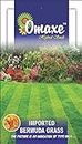 Agrotech India Bermuda Lawn Grass Seeds, suitable for round a year cultivation avg 200 seeds pack by Omaxe