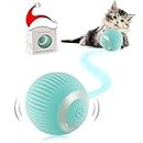 Havenfly Interactive Cat Ball Toy, Intelligent Indoor Automatic Moving Ball Puzzle Dispel Boredom USB Charging Pet Toy with Light, Fun Present for Kitten (Blue)