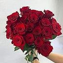 Fresh Cut 24 Red Roses - Fresh from the Farm Red Rose Bouquet – Hand-Selected Long-Lasting, Gift and Home Decor Perfect Fresh Flowers |20" Long Stems No Vase-2 Dozen | Flowers Gift