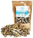 Pets Purest Sprats Dog Treats & Cat Snack - 100% Natural Air-Dried Fish Treat for Dogs, Puppy, Cats, Kitten & Senior. Pure Healthy Grain, Gluten & Lactose Free Hypoallergenic Raw Pet Food (100g)