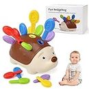 BelleStyle Baby Sensory Montessori Toys for 1 Year Old, Hedgehog Fine Motor Skills Toys Sorting Game Development Activity Toys Educational Learning Travel Toys for Toddlers Boys Girls 1 2 3 Years Old