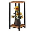 Simple Trending Plant Stand Indoor Corner Tall 2 Tier Metal Modern Flower Plant Shelf Holder, Heavy Duty Wood Storage Stand (2 Tier-Black)