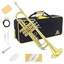 Yasisid Bb Standard Trumpet Set, Brass Adults Play Western Wind Instruments for Beginners or Advanced Students, with Hard Case, Cleaning Kit, 7C Mouthpiece, Cloth and Gloves (Golden)