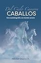 Del Cielo Cayeron Caballos: Una autobiografía con banda sonora (Spanish Edition)