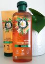 Herbal Essences Volumenshampoo 350ml & Conditioner 250ml orangefarbener Duft