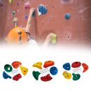 5x  Climbing Holds Colorful pour aire de jeux d'escalade extérieure