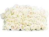 50 White Roses Bulk Fresh Flowers | Designed by Arabella Bouquets | Get Well, Sympathy, Just Because