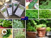 HERB PACK 12 x PACKETS garden SEEDS good for pots CULINARY basil chives dill