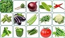 Agnico 15 Variety Of Vegetable Seeds Combo Pack With Instruction Manual.