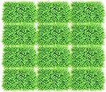 SAI PRASEEDA Artificial Wall Grass Mat_Wall Decor Star Leaf Mat for Vertical Garden_Home_Wall_Balcony_Backdrop Decoration_Dark Green_60 X 40 X 3 cm_Pack of 6 with 50 Tags and 1 Blade STR15