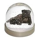 Pug Dog and Puppy Photo Snow Globe Waterball - Advanta Group®