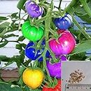 Rosepoem 100pcs very rare imported rainbow tomato Seeds bonsai fruit & vegetable seeds Non-GMO Potted plants for home garden