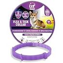 Dog Repellent Treatment, Dog Repellent Collars, Adjustable Small-Medium-Large Dog Repellent Collar, Natural Repellent Collar for Dogs, Waterproof Reflective Dog Repellent (Single Pack,Purple)