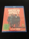 American Animals, Blu Ray, Bart Layton Film, True Crime Thriller