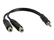 StarTech.com Stereo Splitter Cable - Phono Stereo 3.5mm (M) - Phono 2X Stereo (F) - 6in - Mini-phon