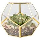 D'Eco Glass Geometric Plant Terrarium (8.2x8.2x8.2) - Indoor Tabletop Gold Sphere Planter Terrarium - Succulents, Air Plants, Moss - Home Garden Office Decor - Gift for Plant Lovers (Terrarium Only)