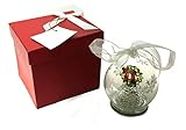 Kringle~Express QVC Illuminated Glass Wreath Ornament Christmas Icons Gift Box and Batteries Included