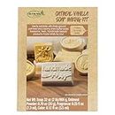 Life/Party Soap Making Kit Vanilla Oatmeal