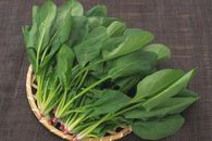 Spinach 250 Seeds Home Garden Vegetable Winter Salad