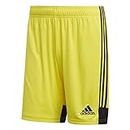 adidas Herren TASTIGO19 Shorts, bright yellow/Black, M