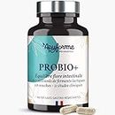Probiotique Flore Intestinale - 60 Milliards UFC/Jour - 10 Souches Exclusives dont Lactobacillus - 60 Gélules Gastro-résistantes - Fabriqué en France par Apyforme