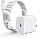 FLYSPACE 20W PD Charger for iPhone 14 | iPhone 14 Pro Type C Wall Adapter with Charging Cable Compatible for iPhone Charger 13, 12, 11, X, 8, 7, 6 Series (Charger)