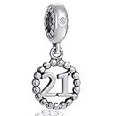 Choruslove Milestones 21 Number Charms for Pandora Snake Bracelet, 925 Sterling Silver Beads Inlay CZ Birthstone Dangle 21st Birthday Annivesary Pendant, Gifts for Boys/Girls/Best Friends