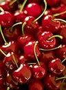 Cherry fruit seeds | organic fruit seeds | organic Red sweet cherry seed For Your Garden and home planting Pack of 5 seeds
