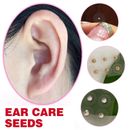 200Pcs Vaccaria Acupuncture Ear Seeds, Alternative Chinese Medicine UK