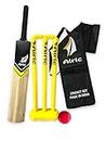 Airic Dashing Kashmiri Popular Willow bat with Plastic Wicket Set for Kids Cricket Kit (Bar Size 1)