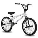 Hiland 20 Inch Kids Bike for Boys BMX Freestyle Bicycle White