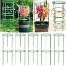 Tomato Plant Support Cages, Garden Cucumber Trellis, Tomato Cage with Standing Stakes and Stabilizing Support Ring Pack of 10 for Vegetables, Flowers, Fruit, Rose Vine Climbing Plants
