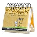 Dayspring - Peanuts - Smiles and Blessings - Perpetual Calendar (75668), Yellow