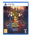 Double Dragon Gaiden: Rise of the Dragons (PS5) (Sony Playstation 5) (US IMPORT)