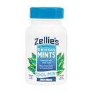 Health Life Zellies Cool Mint Mints, 250 count jar