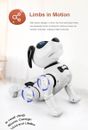 Remote Control Robot Dog Toy for Kids with Voice, Walking/Dancing/Interactive