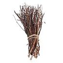 Amosfun 15pcs Birch Branches Twigs centerpieces Decorative Branches for Craft Floristry Wreath Making 15cm