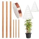 Gardening Antenna Maker - Gardening Supplies Copper Wire Antenna Jig,Multifunctional Coil Wire Winding Mold Reusable Plant Wire Antenna Fixture for Home Electroculture Gardening Jmedic
